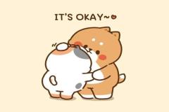 1_avt-meo-doi-cute-1