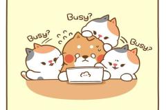 1_avt-meo-doi-cute-dep-1