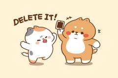 1_avt-meo-doi-cute-xinh-1
