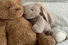 Ảnh đại diện gấu đôi cute