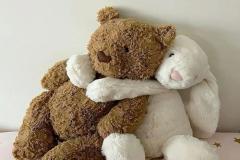 Ảnh đại diện gấu đôi cute
