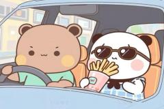 Ảnh đại diện gấu đôi cute