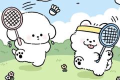 Ảnh đại diện gấu đôi cute