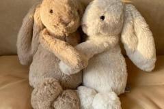 Ảnh đại diện gấu đôi cute