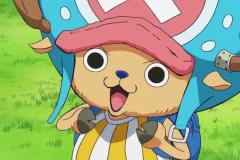 Hình ảnh Chopper đẹp