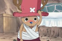 anh-chopper-11