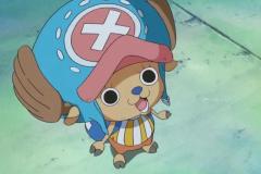anh-chopper-12