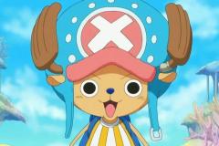 anh-chopper-13