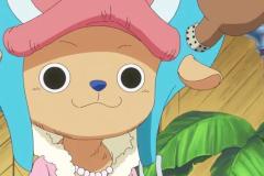 anh-chopper-21