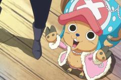 anh-chopper-24