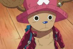 anh-chopper-29