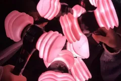 hinh-anh-bua-cua-BlackPink-2