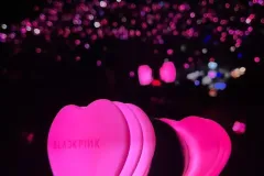 hinh-anh-bua-cua-BlackPink-5
