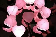 hinh-anh-bua-cua-BlackPink-7