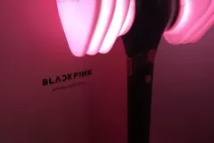 hinh-anh-bua-hong-BlackPink-2