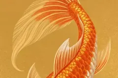 hinh-anh-con-ca-chep-vang-5