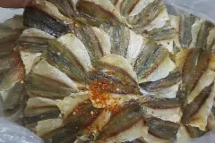 hinh-anh-ca-chi-vang-kho-1