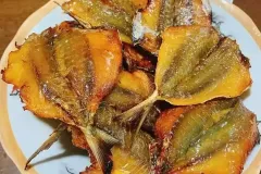 hinh-anh-ca-chi-vang-kho-3