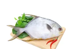 anh-ca-chim-trang-1