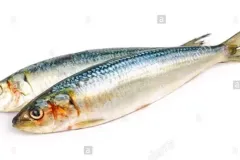 hinh-anh-ca-com-2