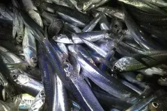 hinh-anh-ca-com-kho-3