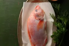 hinh-anh-ca-dieu-hong-1