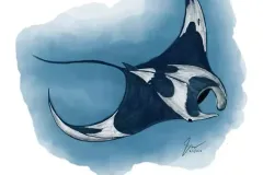 hinh-ca-duoi-8