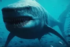 anh-ca-map-megalodon-3