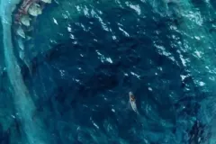hinh-anh-ca-map-megalodon-2