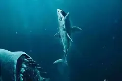 hinh-anh-ca-map-megalodon-4