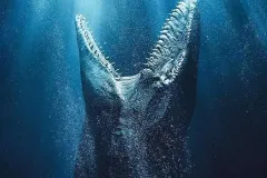 hinh-anh-cua-ca-map-megalodon-1