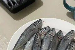 hinh-anh-ca-nuc-1-nang-2