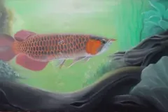 anh-ca-rong-1