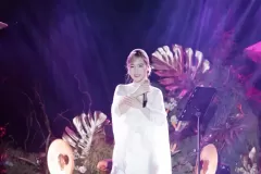 anh-huong-tram-2