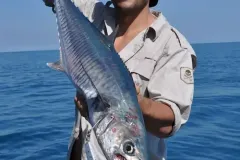 anh-ca-thu-2