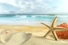 hinh-nen-sao-bien-7