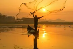 hinh-anh-quang-chai-bat-ca-4