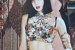 anh-hiem-cua-lisa-4
