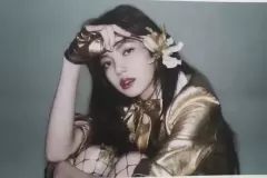 lisa-anh-hiem-5