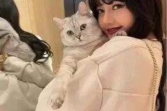 anh-lisa-om-meo-1