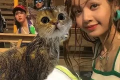 anh-lisa-om-meo-13