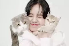 anh-lisa-om-meo-15