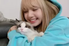 anh-lisa-om-meo-16