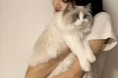 anh-lisa-om-meo-4