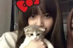 anh-lisa-om-meo-9