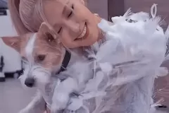 anh-rose-blackpink-cute-blend-1