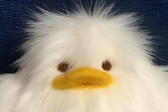 Hình ảnh gấu bông cute ngộ nghĩnh