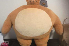 Hình ảnh gấu bông cute ngộ nghĩnh
