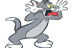 1_hinh-meo-tom-1