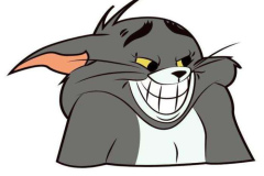 1_hinh-meo-tom-dep-1